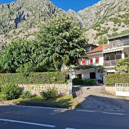 Apartment Cizek Kotor Exteriör bild