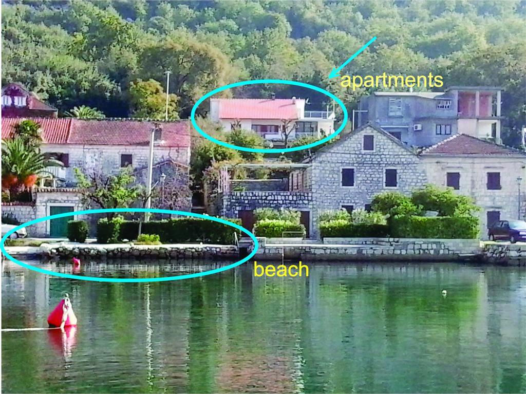 Apartment Cizek Kotor Rum bild