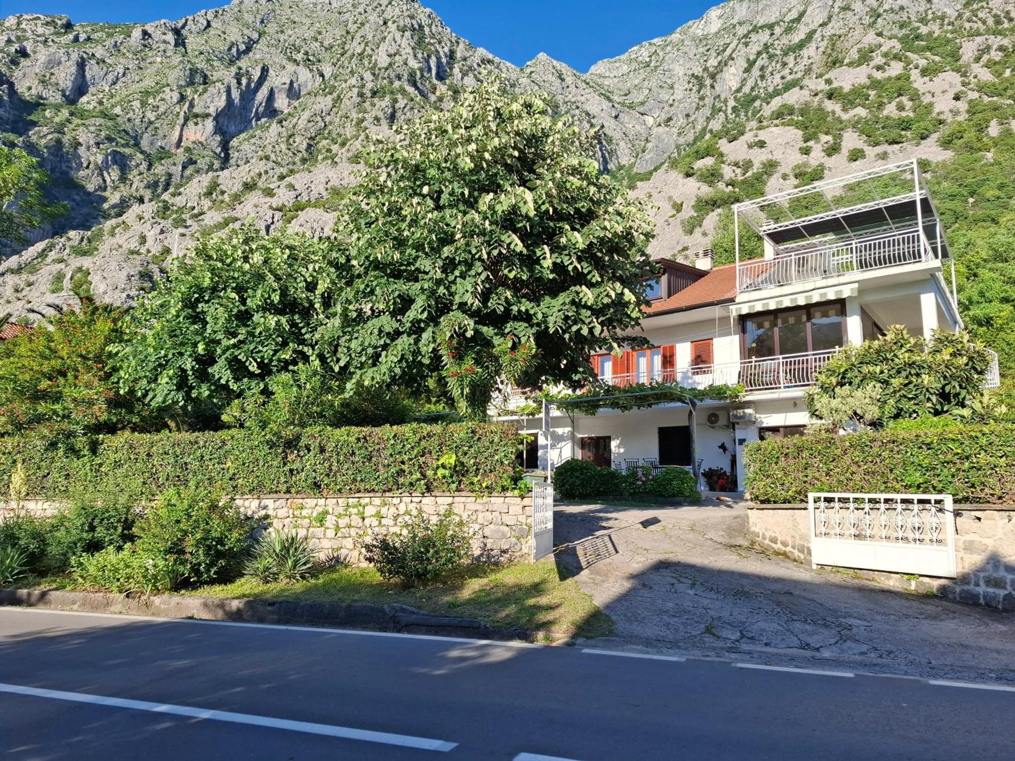 Apartment Cizek Kotor Exteriör bild